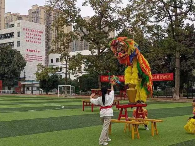 e5d8c87256f299b525c950f9f18c525a_